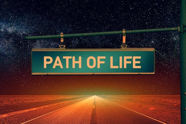 Numerology Life Path Number Calculator
